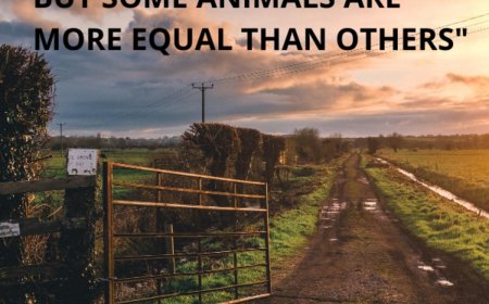 Rishqyrtim i “Fermës së kafshëve”