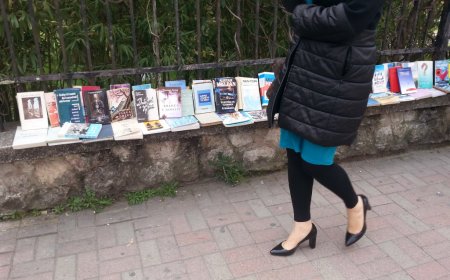 Ligji i më të fortit